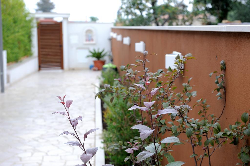 B&B Sun House Modugno Ngoại thất bức ảnh